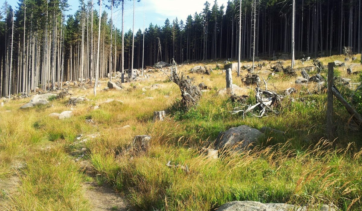 Reiseland Harz – Entdecken, Erleben, Teilen!