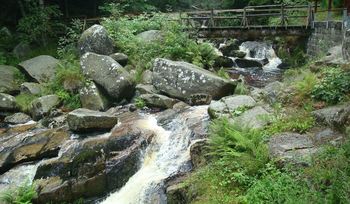 Reiseland Harz – Entdecken, Erleben, Teilen!