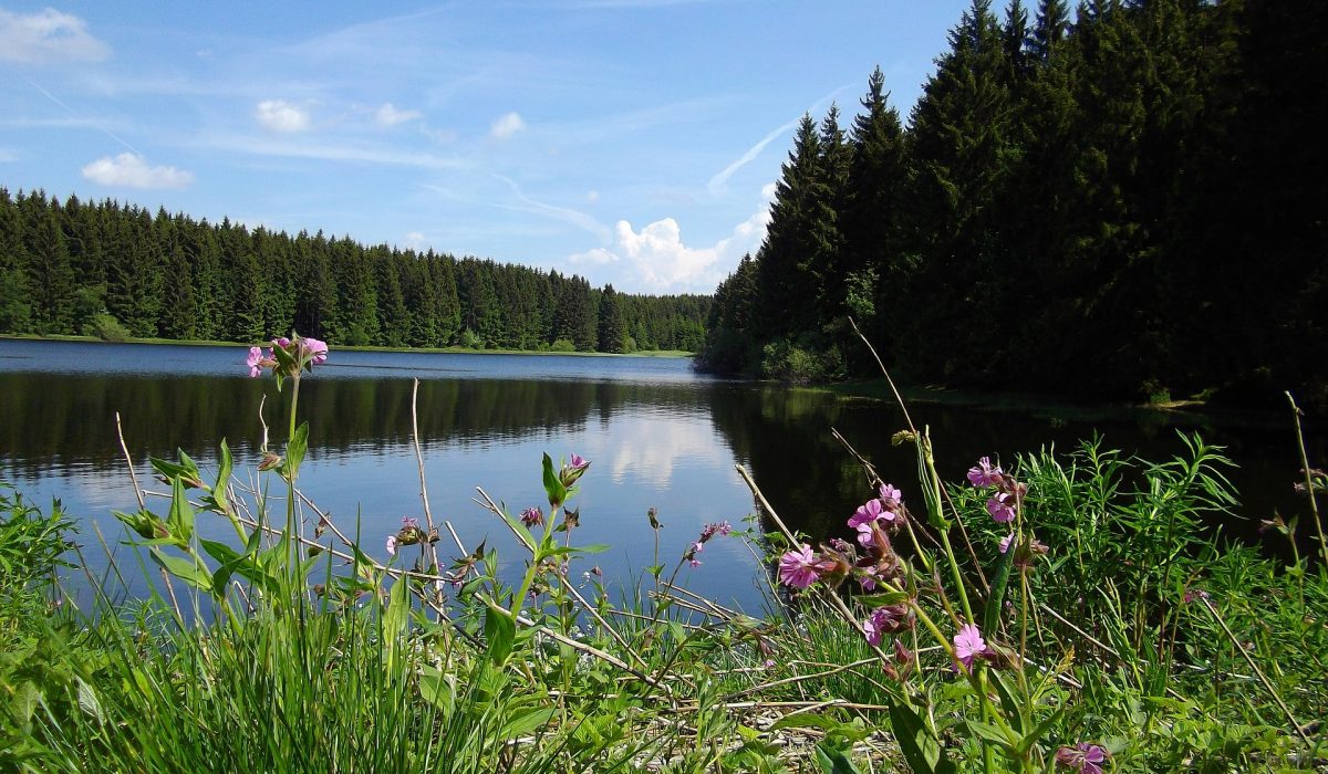 upper-harz-water-shelf-163275_1920